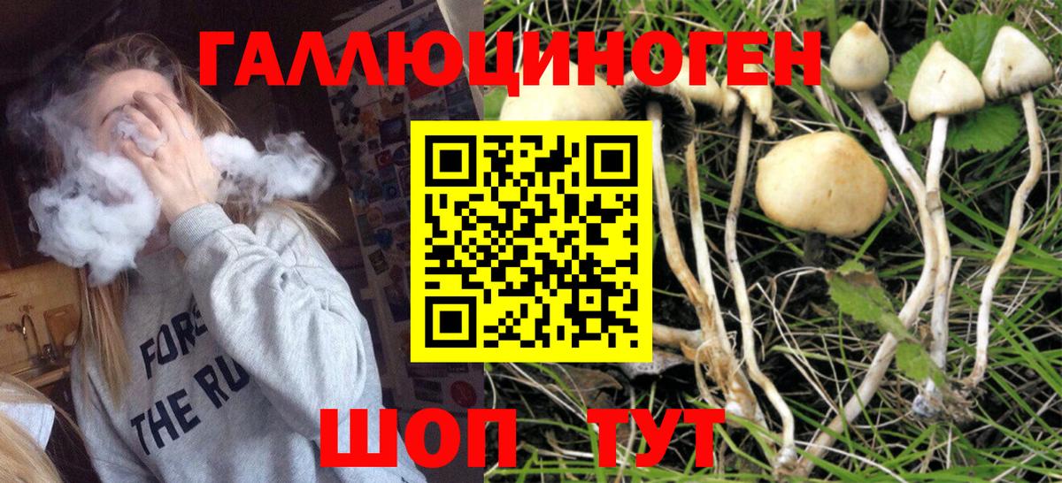 Галлюциногенные грибы ЛСД Кизляр